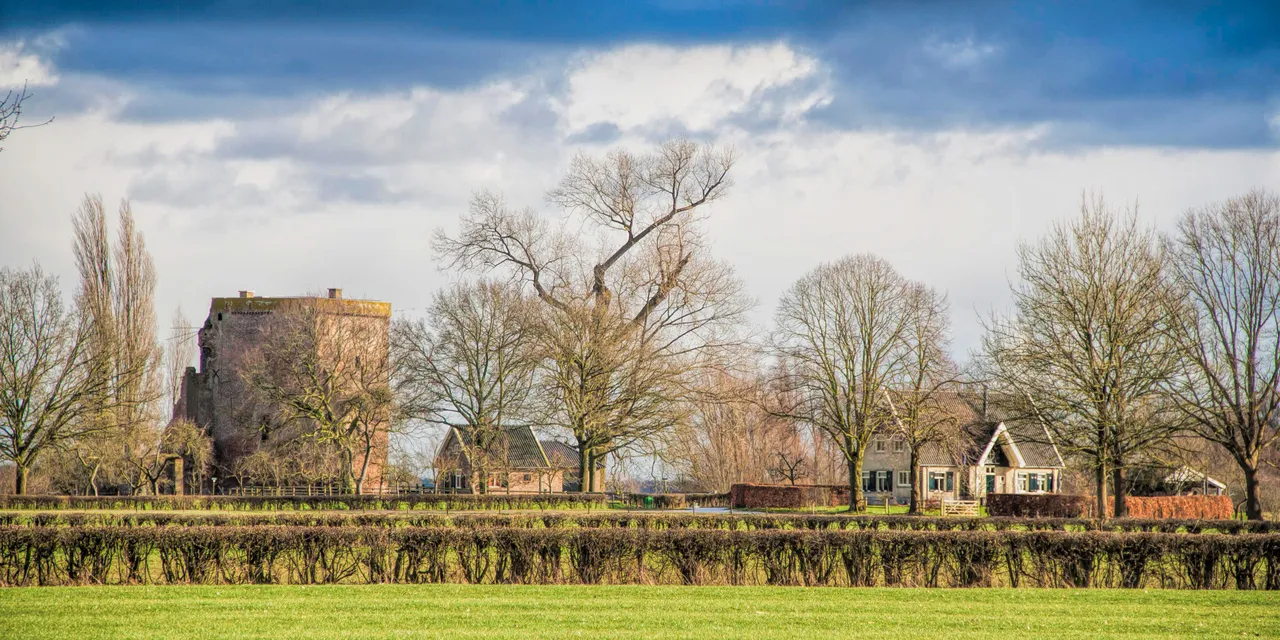 slot-nijenbeek-vanaf-dorp